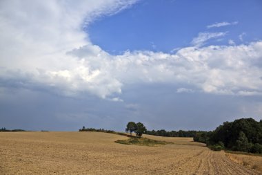 Vintage kırsal manzara