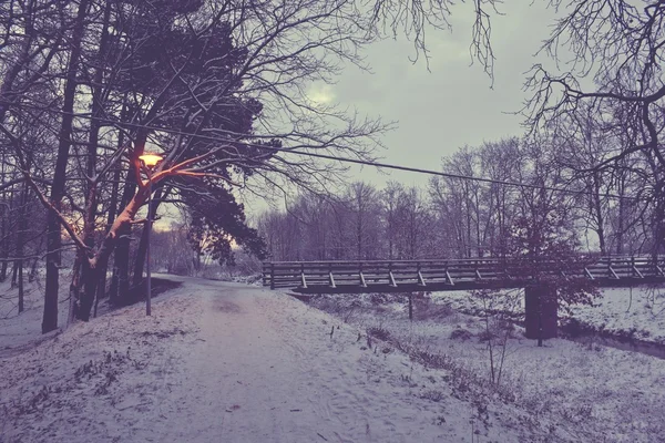 Fiume invernale con anatre la mattina presto — Foto Stock