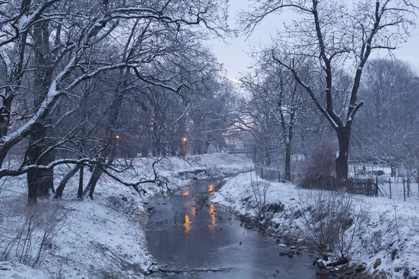 Zima rzeka z kaczki wcześnie rano — Zdjęcie stockowe