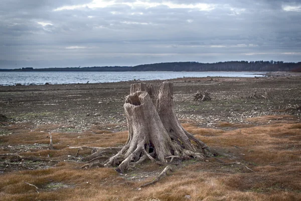 Lago en el atardecer de invierno Fotos de stock libres de derechos