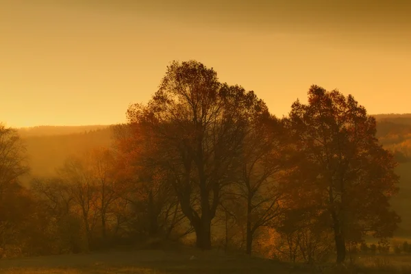 Wzgórz i lasów o wschodzie słońca jesień — Zdjęcie stockowe