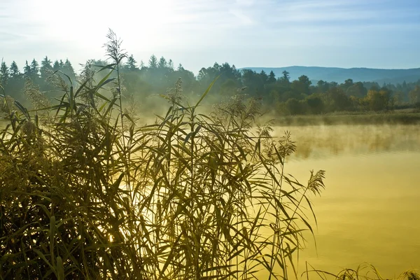 Lake op frosty ochtend — Stockfoto