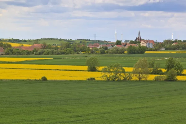 Spring landscape with yellow rape field — Stock Photo, Image