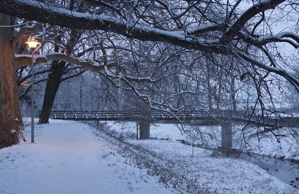 Fiume invernale con anatre la mattina presto — Foto Stock