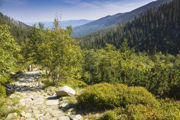 Karkonosze içinde dağ yolu — Stok fotoğraf