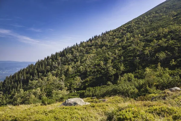 Sendero de montaña en Karkonosze — Foto de Stock