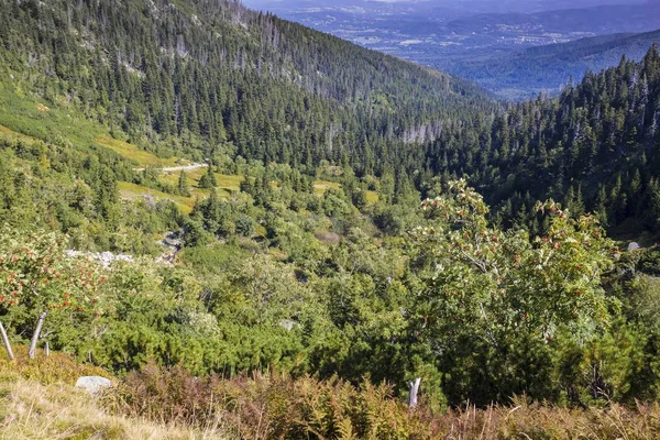Karkonosze içinde dağ yolu — Stok fotoğraf