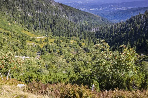 Horské trasy v Krkonoších — Stock fotografie