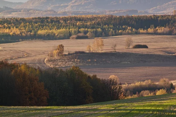 Vintage rurale landschap — Stockfoto