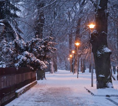 Kış Park'ta gece manzarası