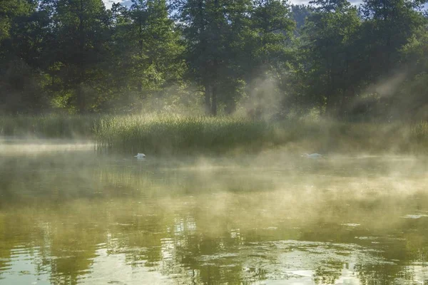 Lake bij dageraad scène — Stockfoto