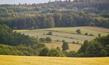 Vintage kırsal manzara
