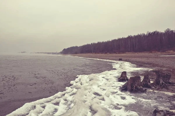 Zamlžené jezero v zimě — Stock fotografie