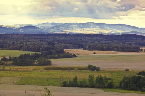 Prachtig zomers landschap — Stockfoto