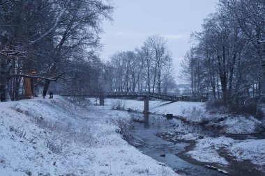 Kış nehir ördekler erken sabah ile