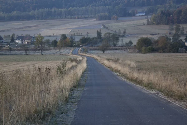 Colline e foresta all'alba autunnale — Foto Stock