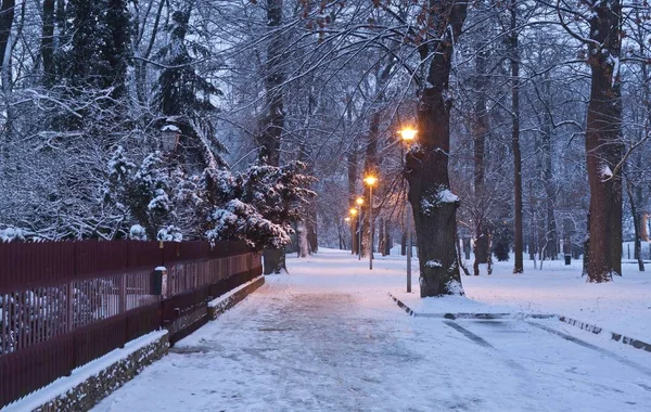 Paesaggio notturno nel parco invernale — Foto Stock