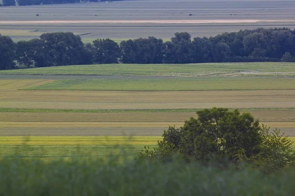 Sztuka krajobrazu wiejskiego — Zdjęcie stockowe