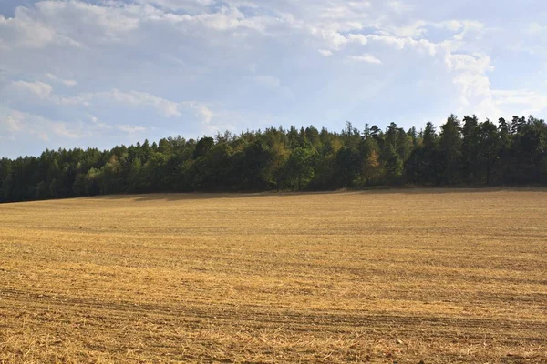 Sztuka krajobrazu wiejskiego — Zdjęcie stockowe