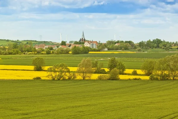 Spring landscape with yellow rape field — Stock Photo, Image