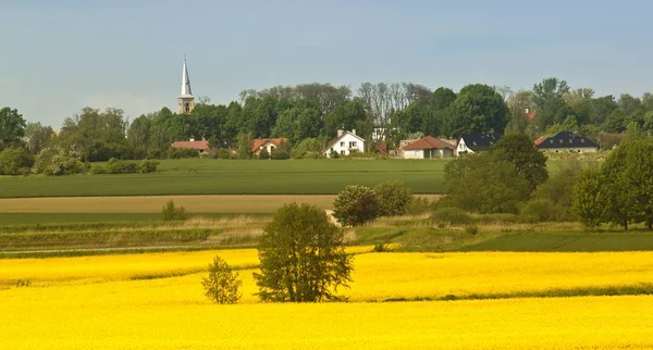 Lente landschap met gele verkrachting veld — Stockfoto