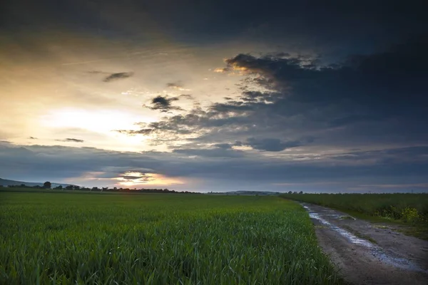 Paisaje espectacular atardecer —  Fotos de Stock