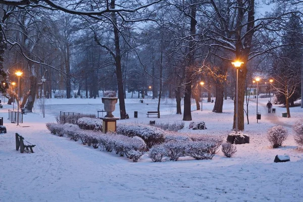 Paesaggio notturno nel parco invernale — Foto Stock
