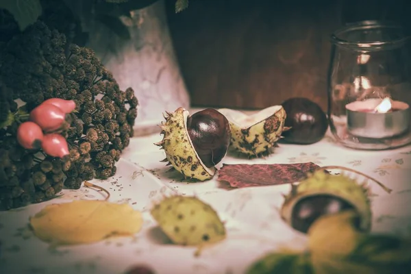 Herfst bloemen, kastanjes — Stockfoto