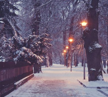 Kış Park'ta gece manzarası