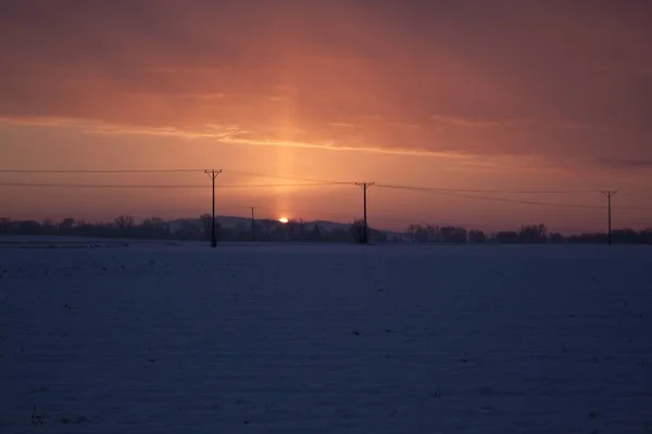 Зимний парк ранним утром восход солнца — стоковое фото