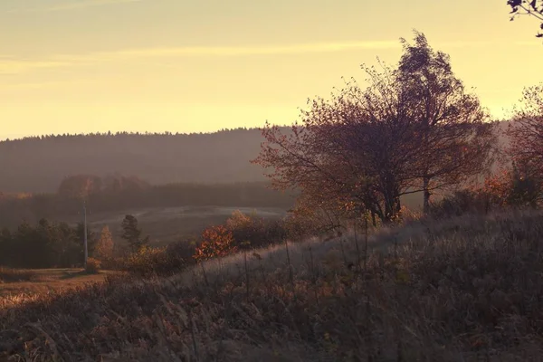 Hills and forest at autumn sunrise — Stock Photo, Image