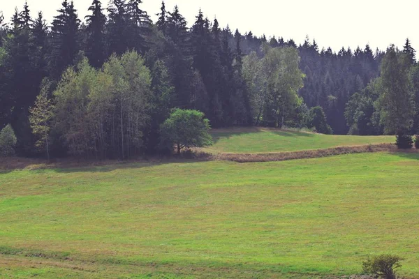 Piękny kolorowy lato — Zdjęcie stockowe