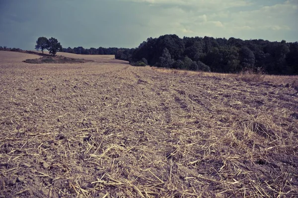 Paisagem rural vintage — Fotografia de Stock