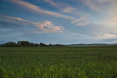 Dramatik günbatımı güzel renkli yaz