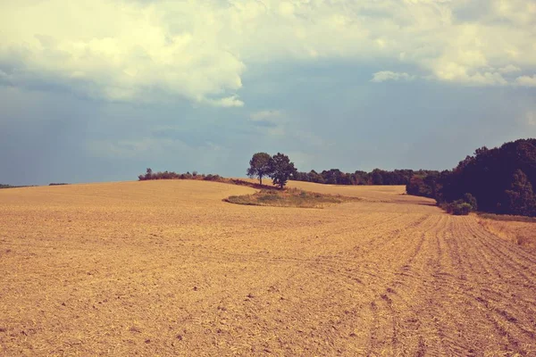 Vintage rural landscape — Stock Photo, Image