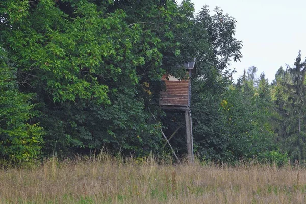 Wieża polowania w pobliżu lasu — Zdjęcie stockowe