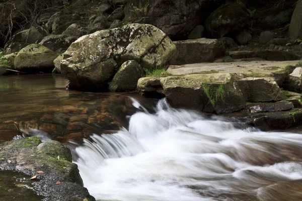 Ruisseau forestier naturel en plein air — Photo