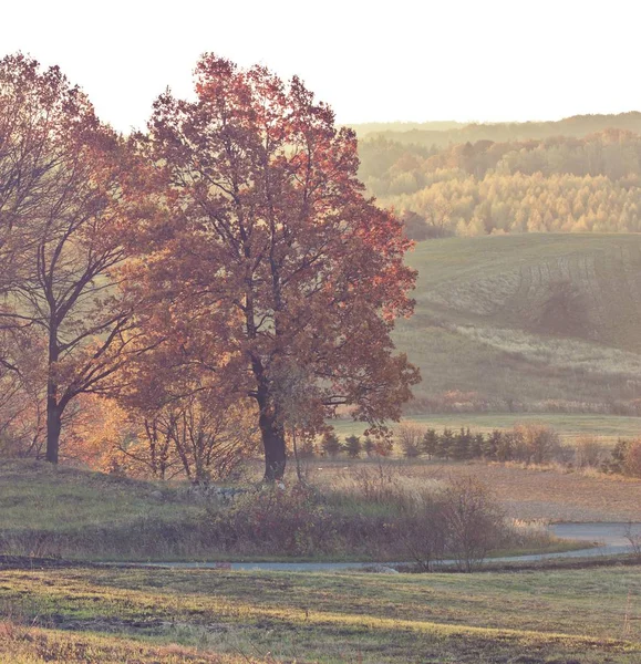 Heuvels en bos bij herfst zonsopgang — Stockfoto