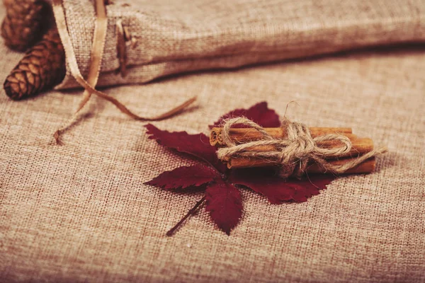 Hösten bakgrund med blad och kanel — Stockfoto