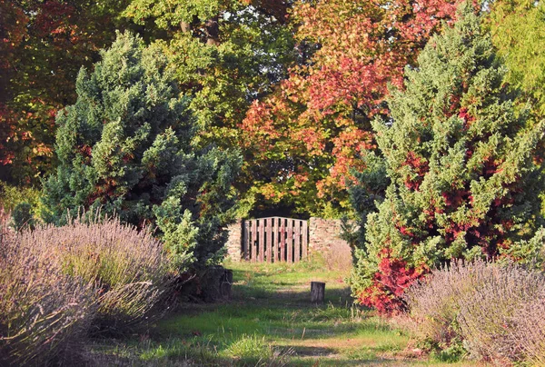 Autumn in the garden — Stock Photo, Image