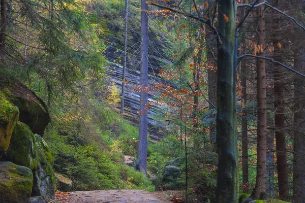 Parc national de la République tchèque Teplice roches. Rock Town . — Photo