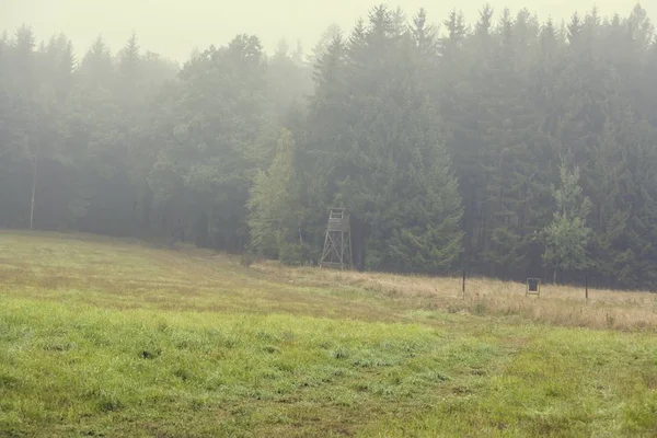 Regn i skoven witn jægere tårn - Stock-foto
