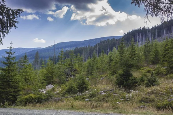 Sendero de montaña en Karkonosze — Foto de Stock