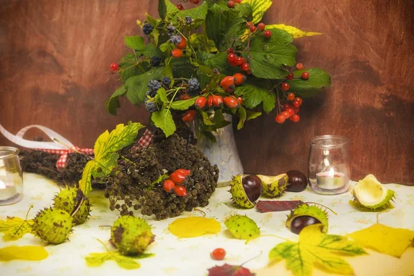 Fiori autunnali, castagne — Foto Stock