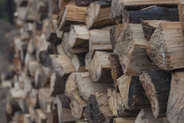 Pila de troncos de madera —  Fotos de Stock