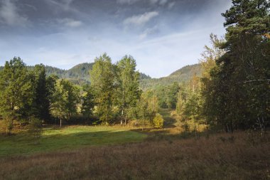  Sonbahar güzel doğa orman 