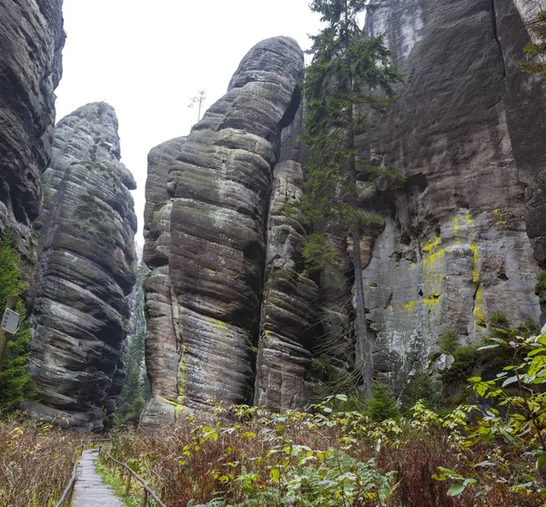 チェコ テプリツェ国立公園岩。岩石町. — ストック写真