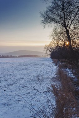 Kış Harikalar Diyarı doğa güzel doğa