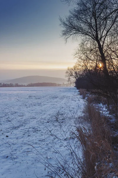 Kış Harikalar Diyarı doğa güzel doğa — Stok fotoğraf