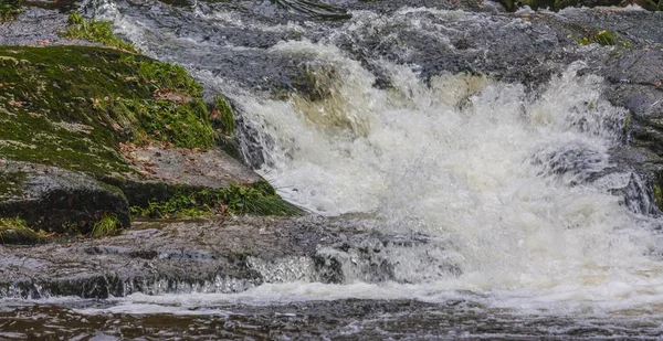 Cours d'eau d'automne dans la forêt — Photo